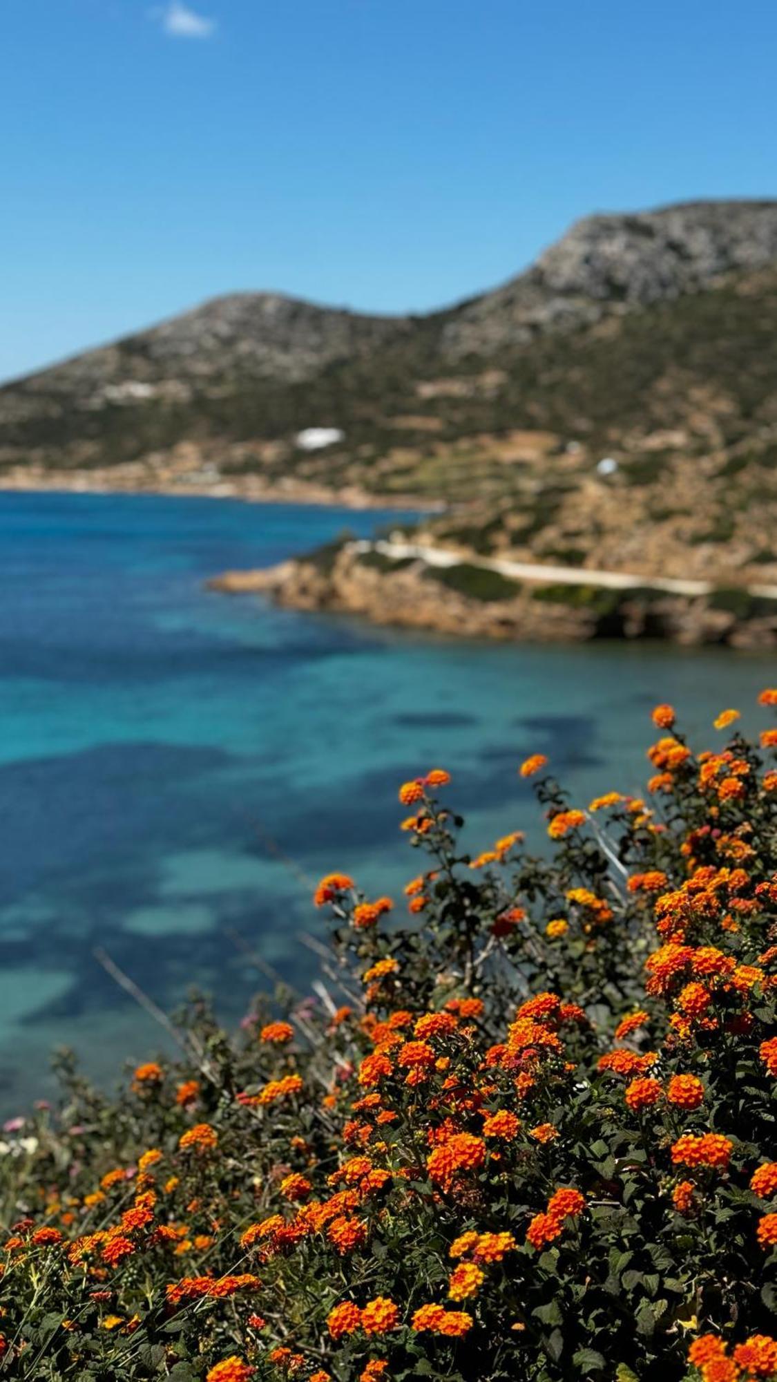 Lipsi Blue Hotel Kültér fotó